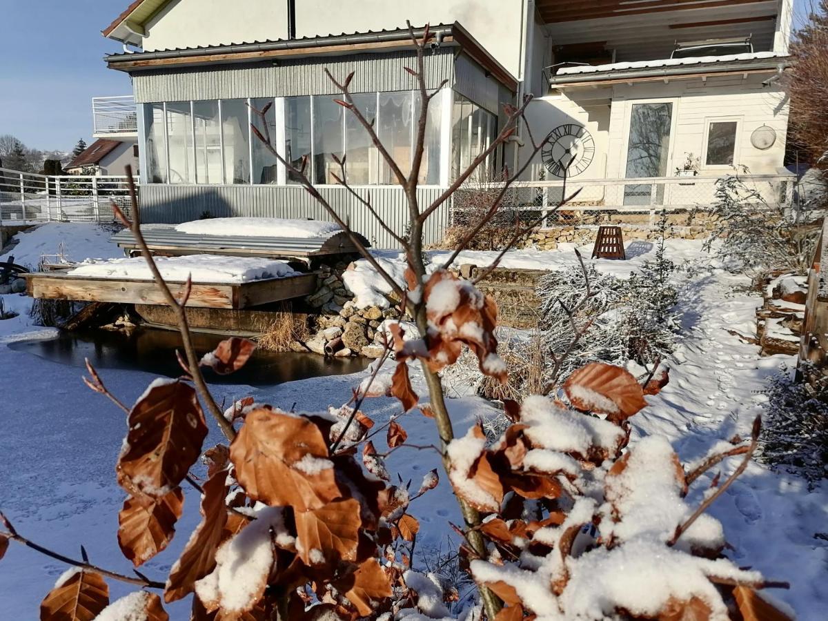 Gîte atypique dans une ancienne serre Orchamps-Vennes Extérieur photo