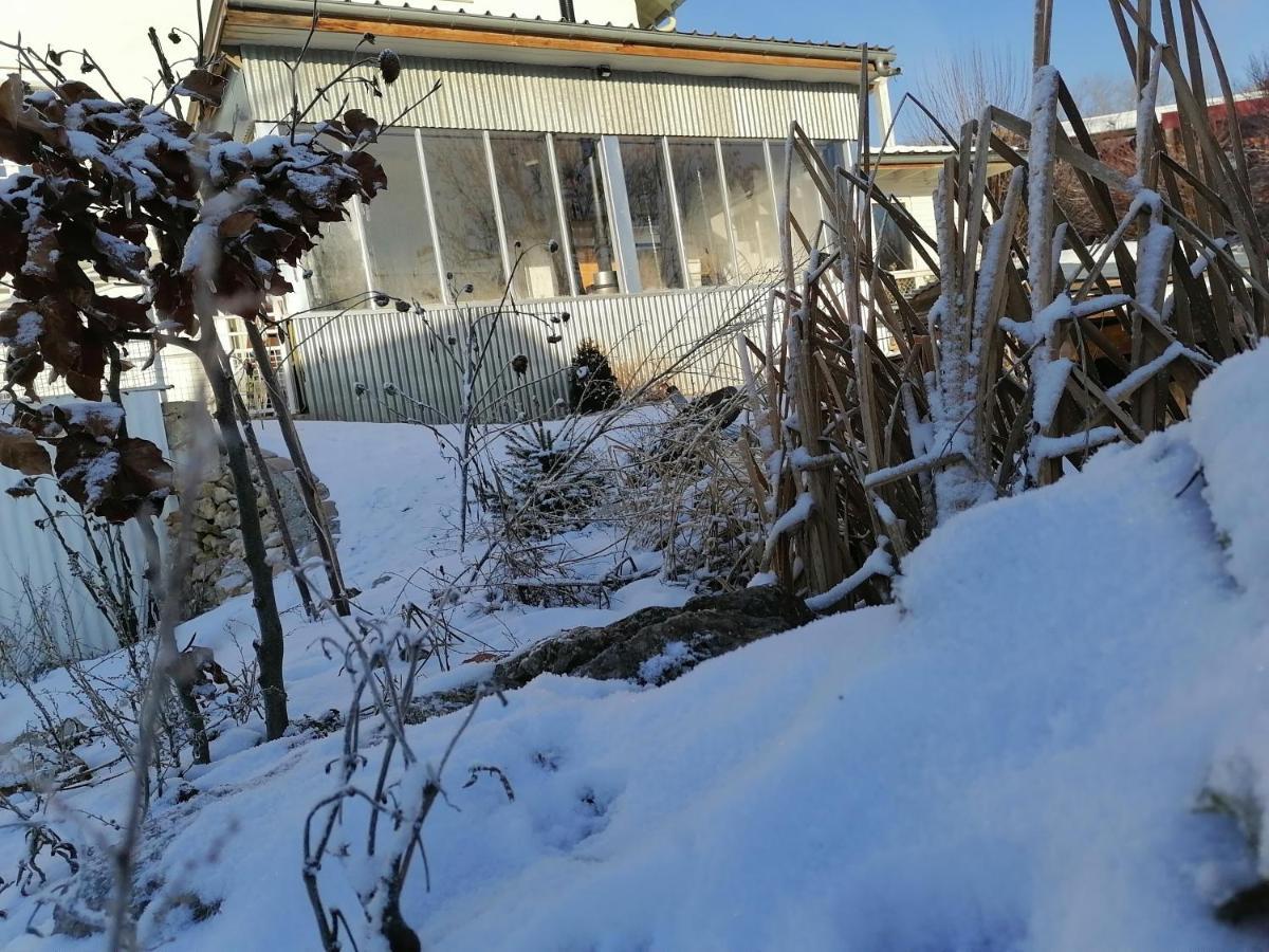 Gîte atypique dans une ancienne serre Orchamps-Vennes Extérieur photo